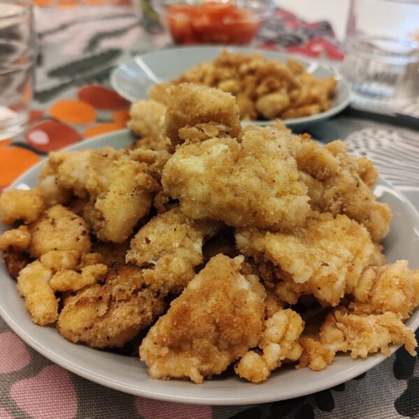 251113 Frittikala - Riikka Kononen