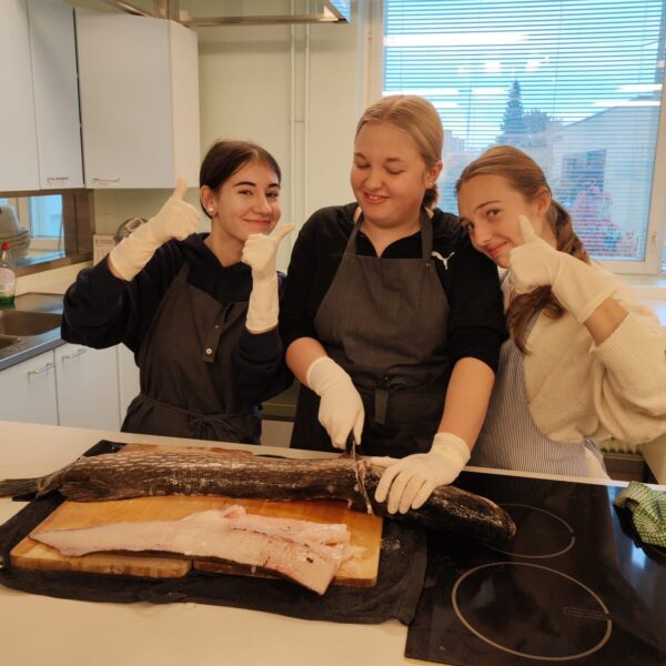 251113 Hauen fileointi 1 - Riikka Kononen