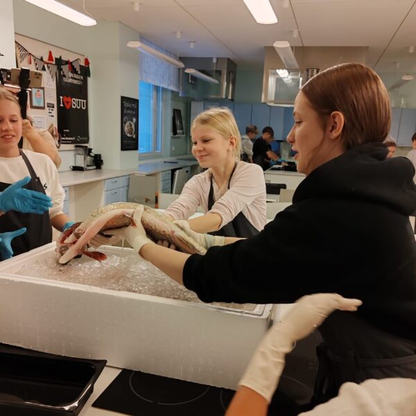 251113 Kalatoimitus 2 - Riikka Kononen