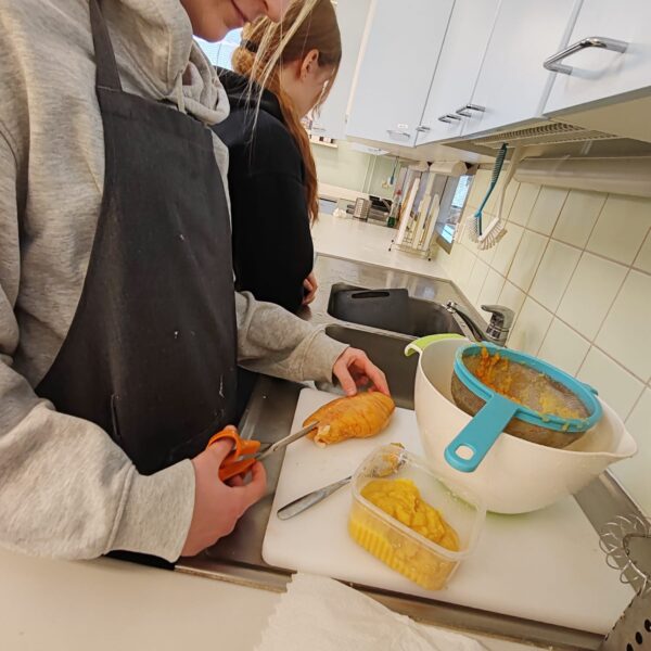 260210 Mädit pakkaseen - Riikka Kononen