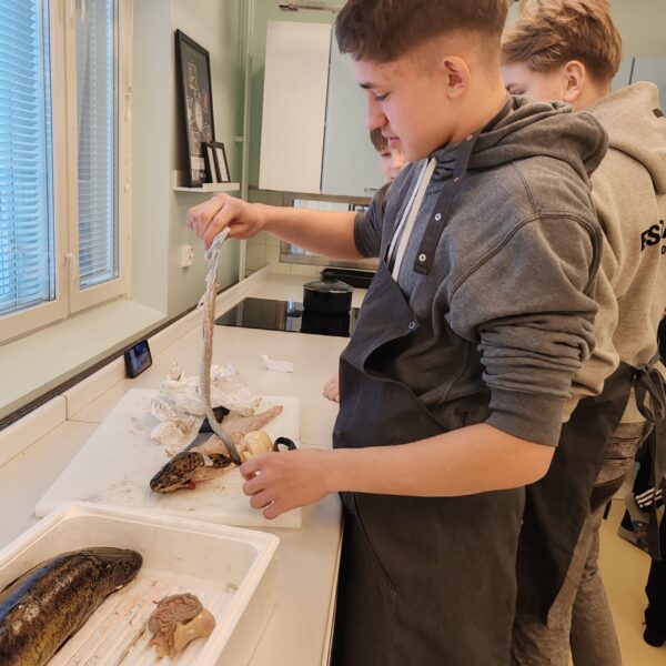 260210 Mateen nyljentä - Riikka Kononen